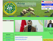 Tablet Screenshot of malatyabirlik.com